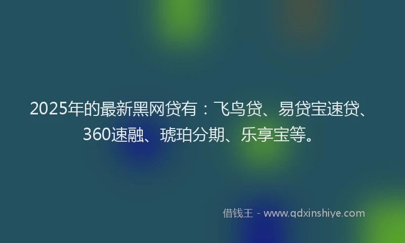 2025年的最新黑网贷有：飞鸟贷、易贷宝速贷、360速融、琥珀分期、乐享宝等。