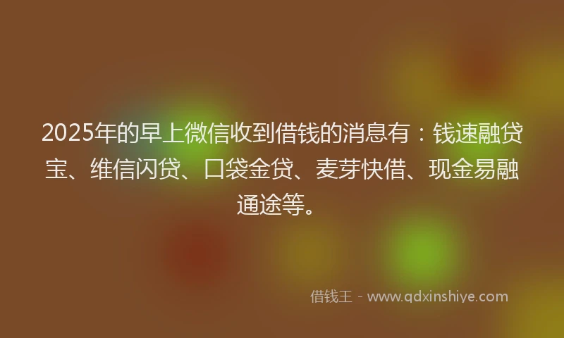 2025年的早上微信收到借钱的消息有：钱速融贷宝、维信闪贷、口袋金贷、麦芽快借、现金易融通途等。