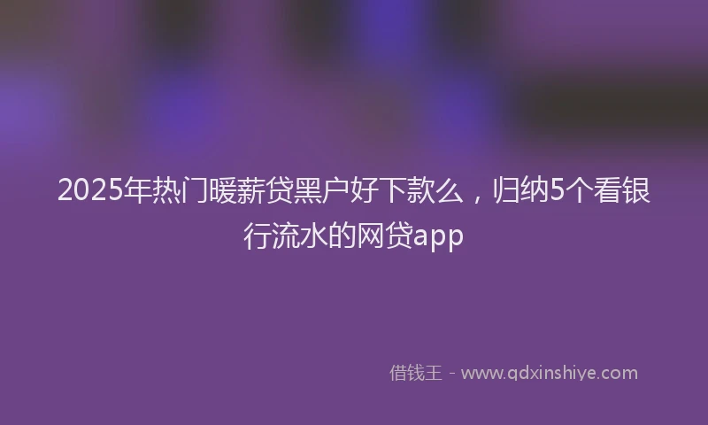 2025年热门暖薪贷黑户好下款么，归纳5个看银行流水的网贷app
