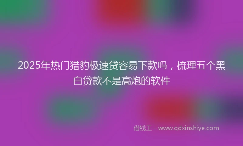2025年热门猎豹极速贷容易下款吗，梳理五个黑白贷款不是高炮的软件