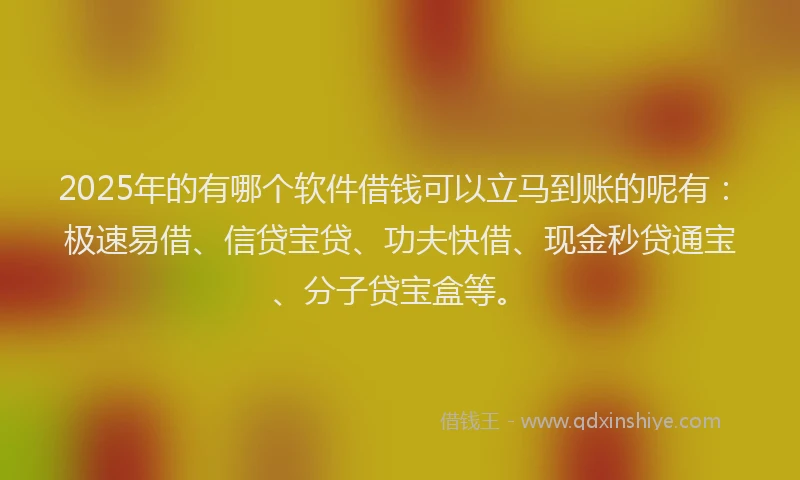 2025年的有哪个软件借钱可以立马到账的呢有：极速易借、信贷宝贷、功夫快借、现金秒贷通宝、分子贷宝盒等。