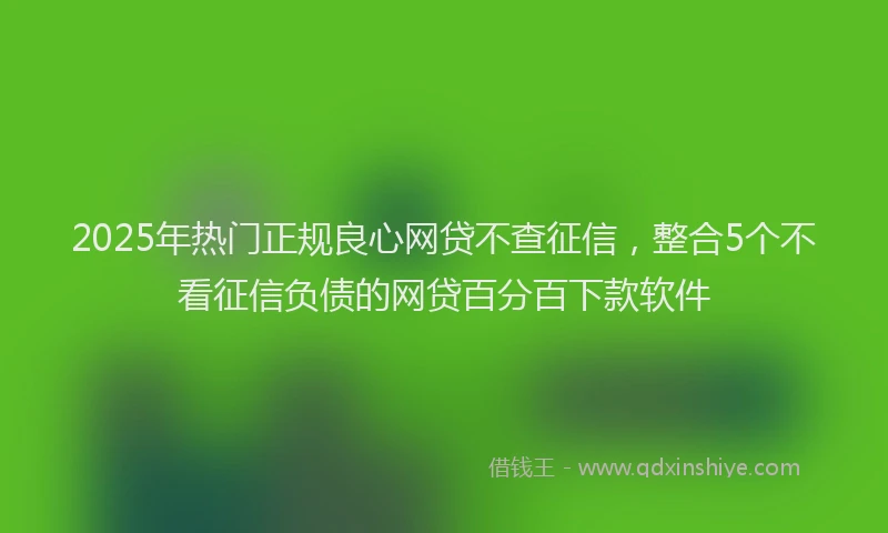 2025年热门正规良心网贷不查征信，整合5个不看征信负债的网贷百分百下款软件