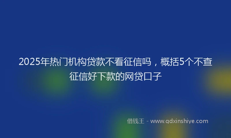 2025年热门机构贷款不看征信吗，概括5个不查征信好下款的网贷口子