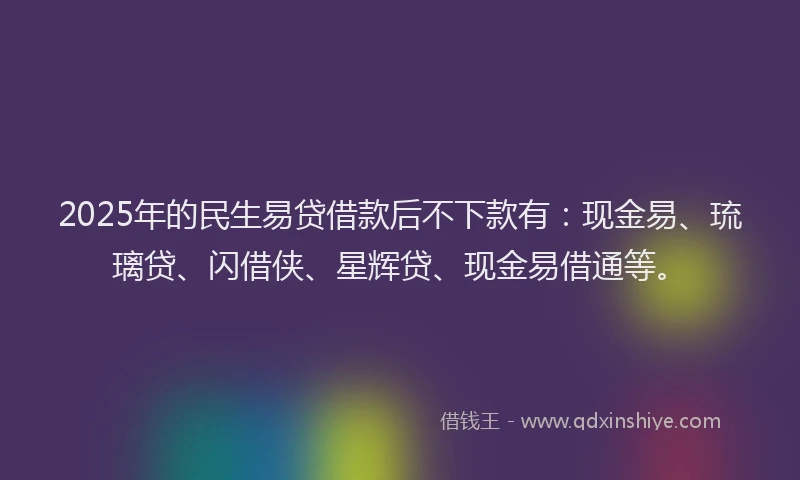 2025年的民生易贷借款后不下款有：现金易、琉璃贷、闪借侠、星辉贷、现金易借通等。