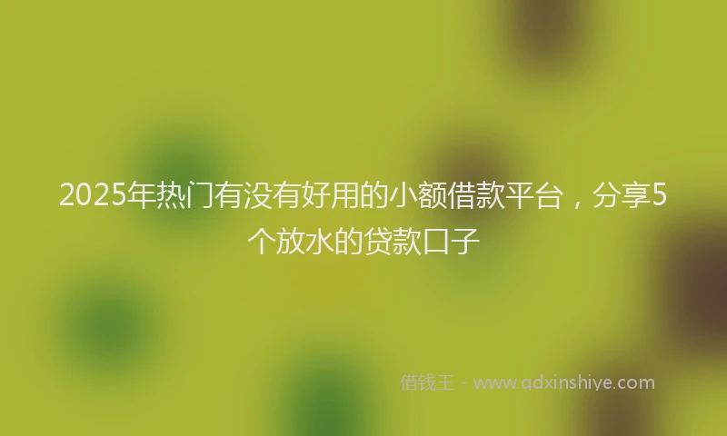 2025年热门有没有好用的小额借款平台，分享5个放水的贷款口子