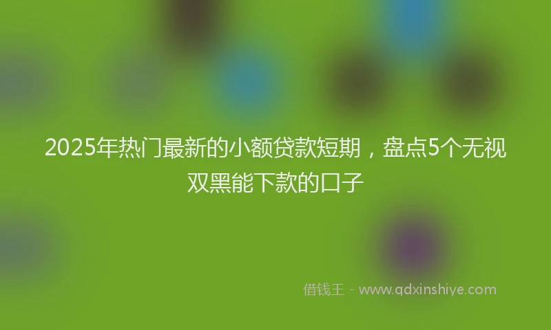 2025年热门最新的小额贷款短期，盘点5个无视双黑能下款的口子