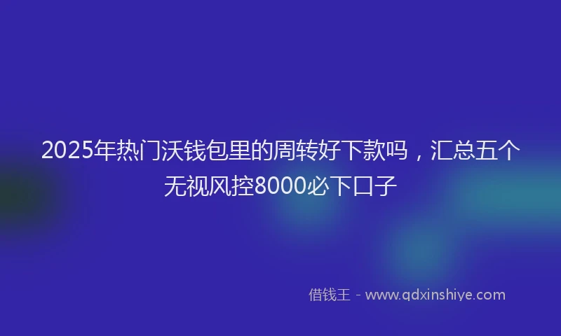 2025年热门沃钱包里的周转好下款吗，汇总五个无视风控8000必下口子