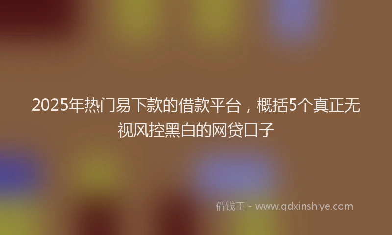 2025年热门易下款的借款平台，概括5个真正无视风控黑白的网贷口子
