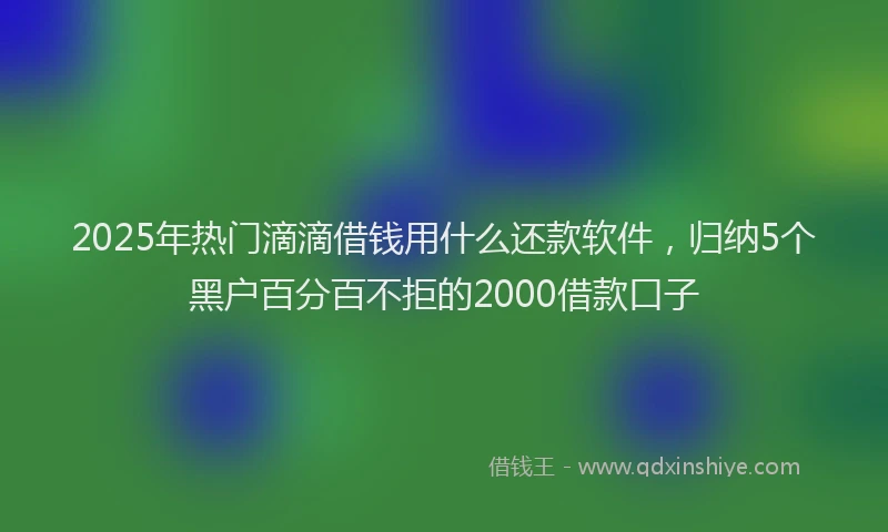 2025年热门滴滴借钱用什么还款软件，归纳5个黑户百分百不拒的2000借款口子