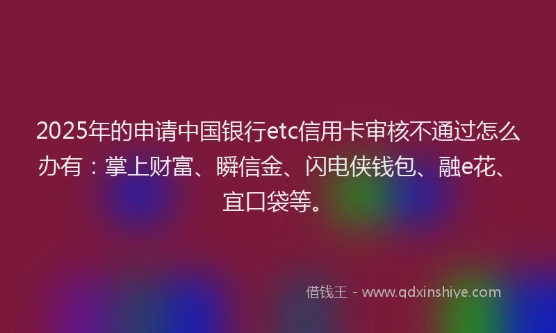 2025年的申请中国银行etc信用卡审核不通过怎么办有：掌上财富、瞬信金、闪电侠钱包、融e花、宜口袋等。