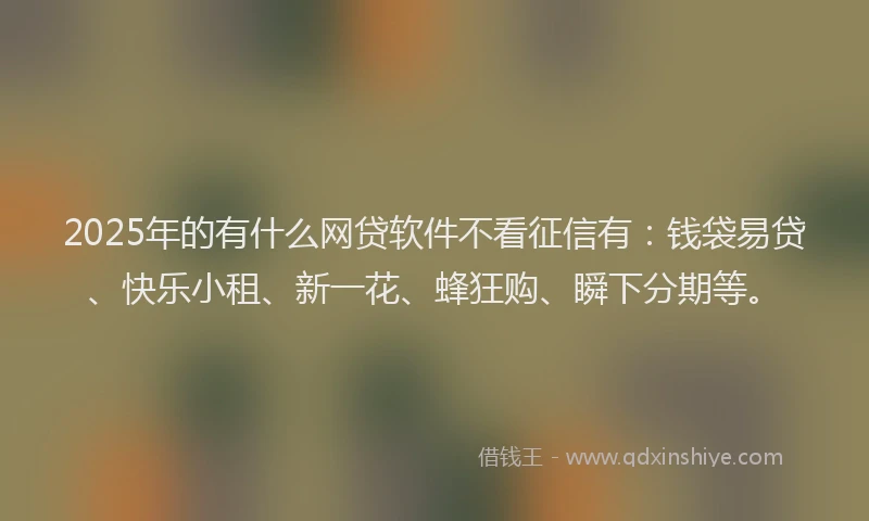 2025年的有什么网贷软件不看征信有：钱袋易贷、快乐小租、新一花、蜂狂购、瞬下分期等。