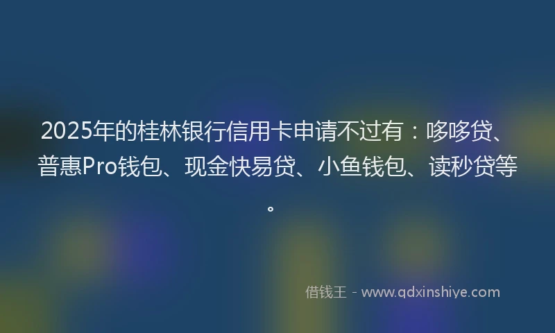 2025年的桂林银行信用卡申请不过有：哆哆贷、普惠Pro钱包、现金快易贷、小鱼钱包、读秒贷等。