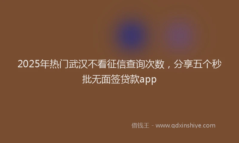 2025年热门武汉不看征信查询次数，分享五个秒批无面签贷款app