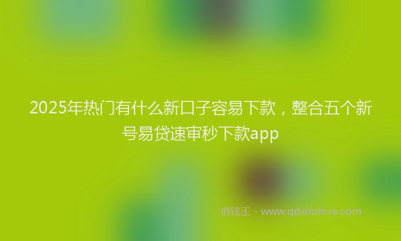 2025年热门有什么新口子容易下款，整合五个新号易贷速审秒下款app