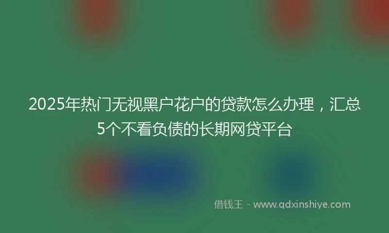 2025年热门无视黑户花户的贷款怎么办理，汇总5个不看负债的长期网贷平台