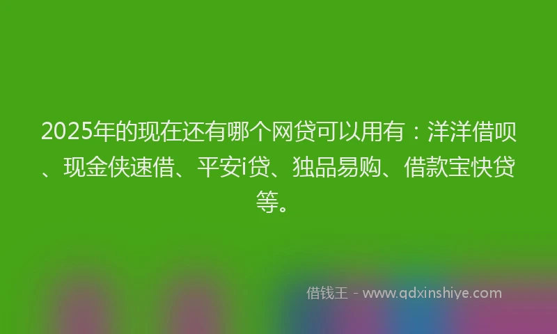 2025年的现在还有哪个网贷可以用有：洋洋借呗、现金侠速借、平安i贷、独品易购、借款宝快贷等。