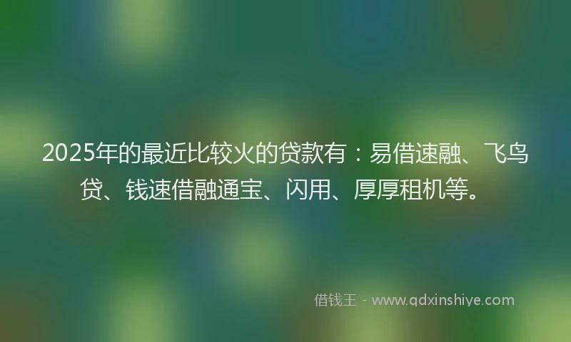 2025年的最近比较火的贷款有：易借速融、飞鸟贷、钱速借融通宝、闪用、厚厚租机等。