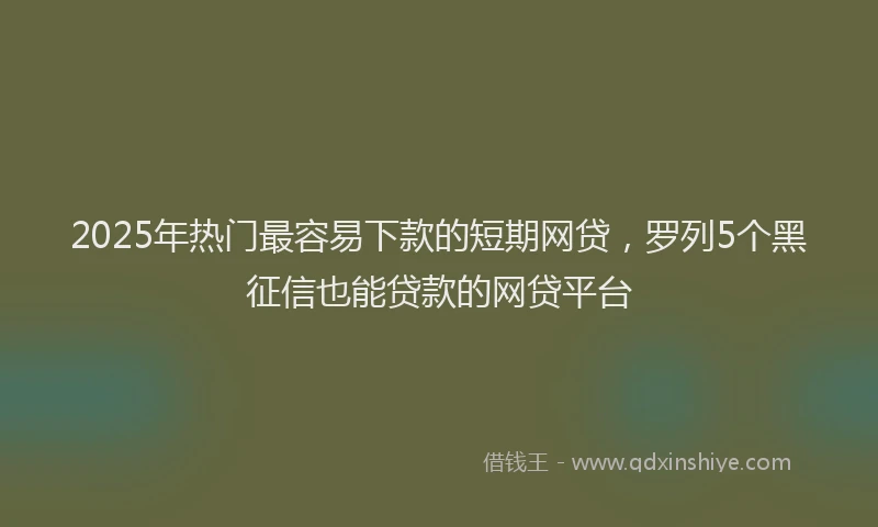 2025年热门最容易下款的短期网贷，罗列5个黑征信也能贷款的网贷平台