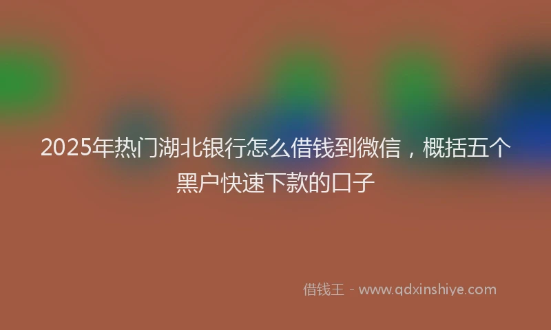 2025年热门湖北银行怎么借钱到微信，概括五个黑户快速下款的口子