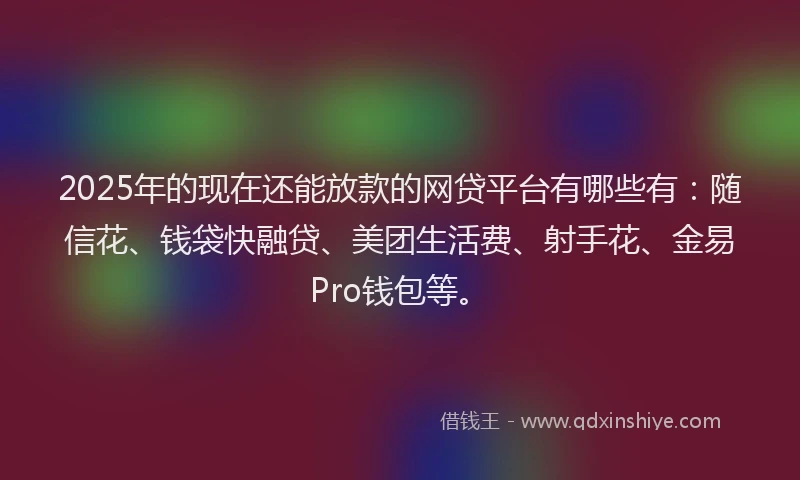 2025年的现在还能放款的网贷平台有哪些有：随信花、钱袋快融贷、美团生活费、射手花、金易Pro钱包等。