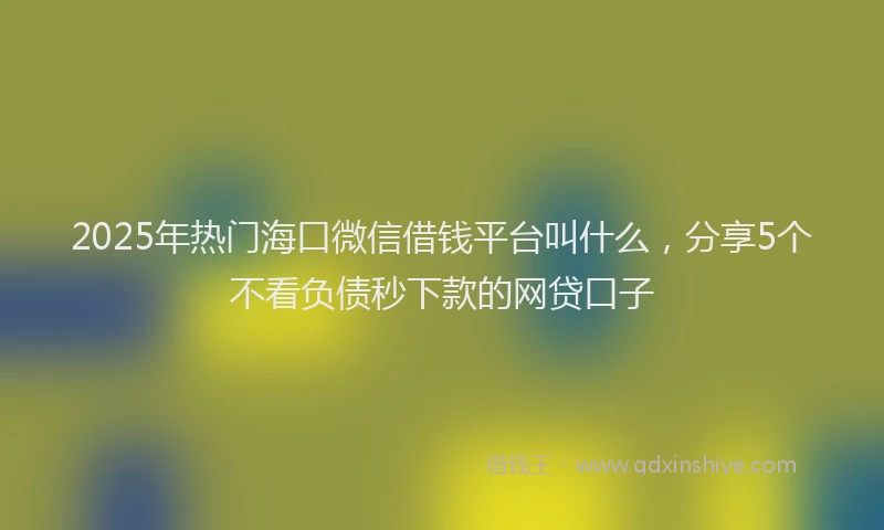 2025年热门海口微信借钱平台叫什么，分享5个不看负债秒下款的网贷口子