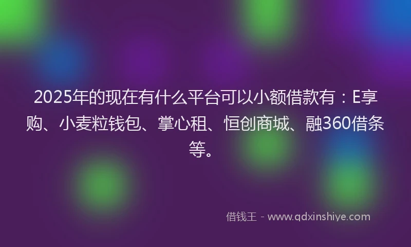 2025年的现在有什么平台可以小额借款有：E享购、小麦粒钱包、掌心租、恒创商城、融360借条等。