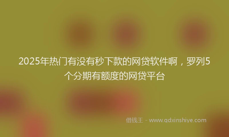2025年热门有没有秒下款的网贷软件啊，罗列5个分期有额度的网贷平台