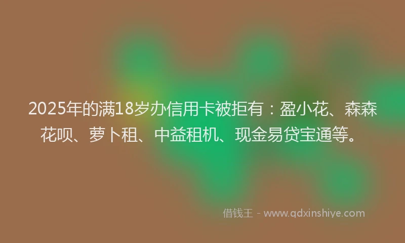 2025年的满18岁办信用卡被拒有：盈小花、森森花呗、萝卜租、中益租机、现金易贷宝通等。