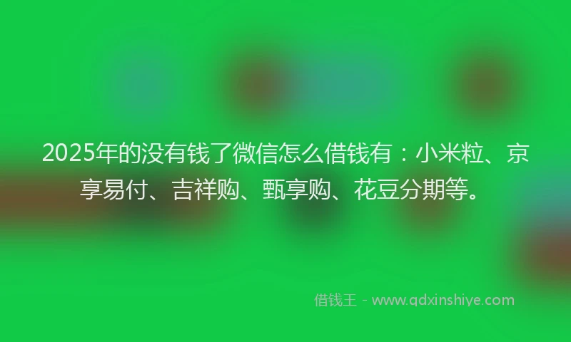 2025年的没有钱了微信怎么借钱有：小米粒、京享易付、吉祥购、甄享购、花豆分期等。