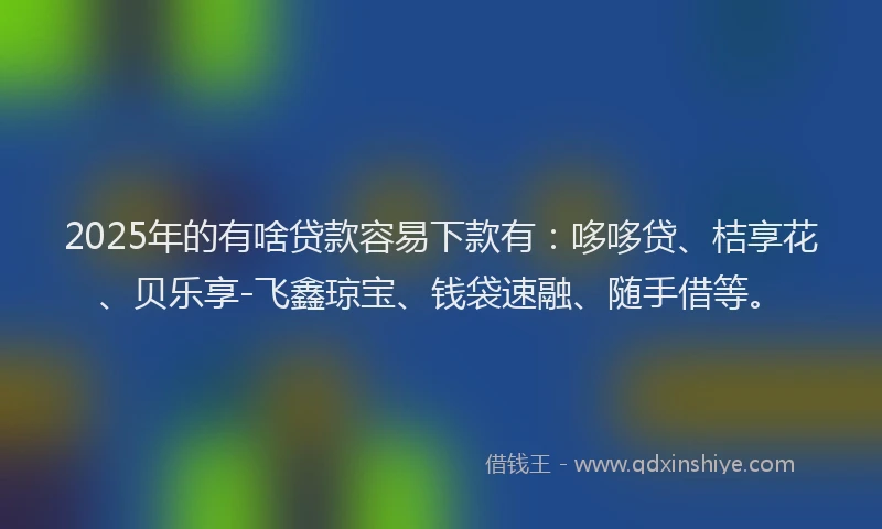 2025年的有啥贷款容易下款有：哆哆贷、桔享花、贝乐享-飞鑫琼宝、钱袋速融、随手借等。