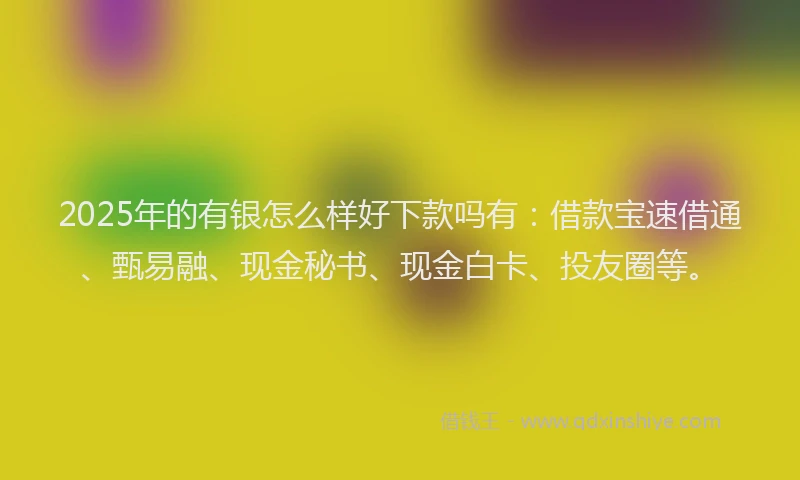 2025年的有银怎么样好下款吗有：借款宝速借通、甄易融、现金秘书、现金白卡、投友圈等。