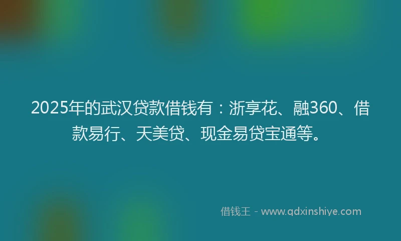 2025年的武汉贷款借钱有：浙享花、融360、借款易行、天美贷、现金易贷宝通等。