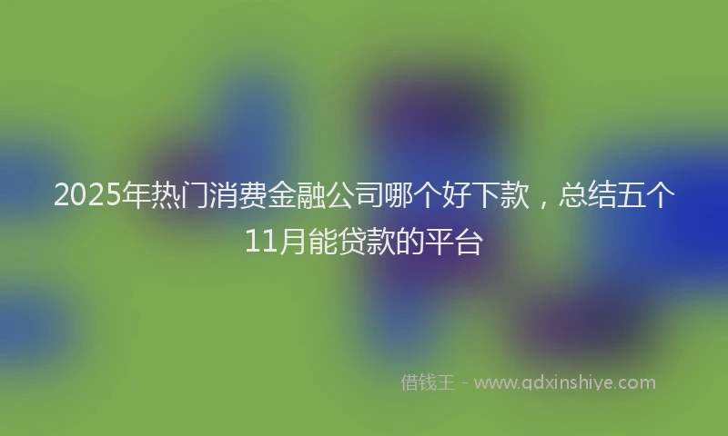 2025年热门消费金融公司哪个好下款，总结五个11月能贷款的平台