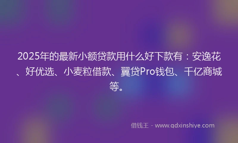 2025年的最新小额贷款用什么好下款有：安逸花、好优选、小麦粒借款、翼贷Pro钱包、千亿商城等。