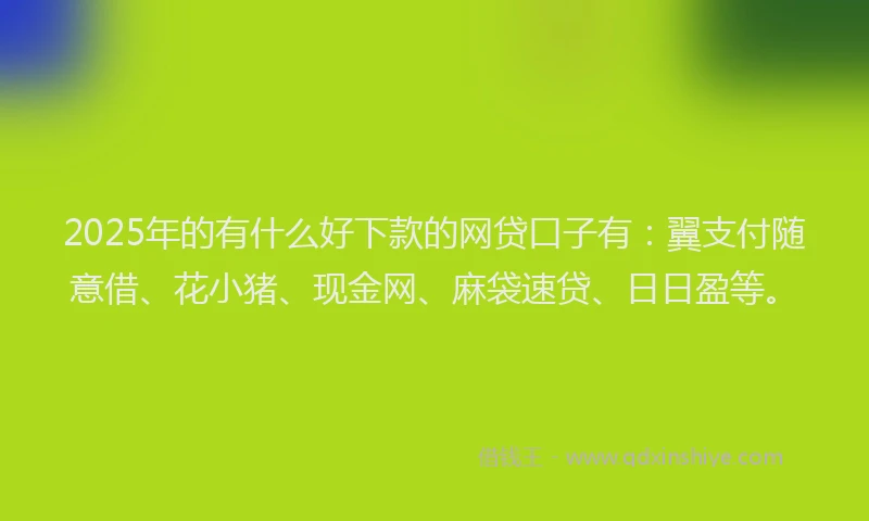 2025年的有什么好下款的网贷口子有：翼支付随意借、花小猪、现金网、麻袋速贷、日日盈等。