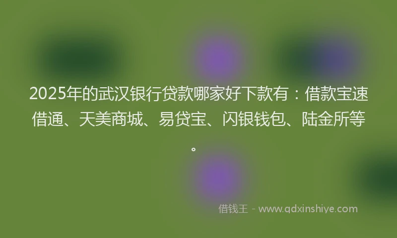 2025年的武汉银行贷款哪家好下款有：借款宝速借通、天美商城、易贷宝、闪银钱包、陆金所等。