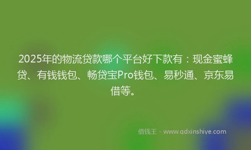 2025年的物流贷款哪个平台好下款有：现金蜜蜂贷、有钱钱包、畅贷宝Pro钱包、易秒通、京东易借等。