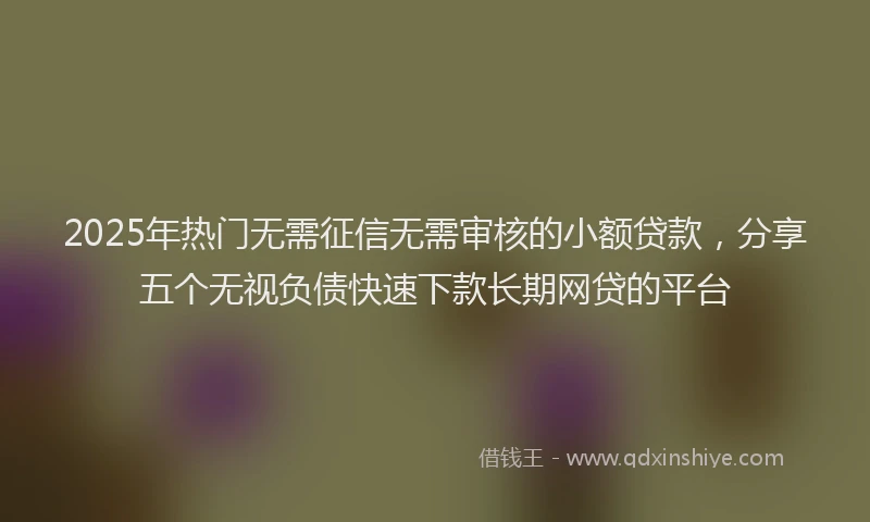 2025年热门无需征信无需审核的小额贷款，分享五个无视负债快速下款长期网贷的平台