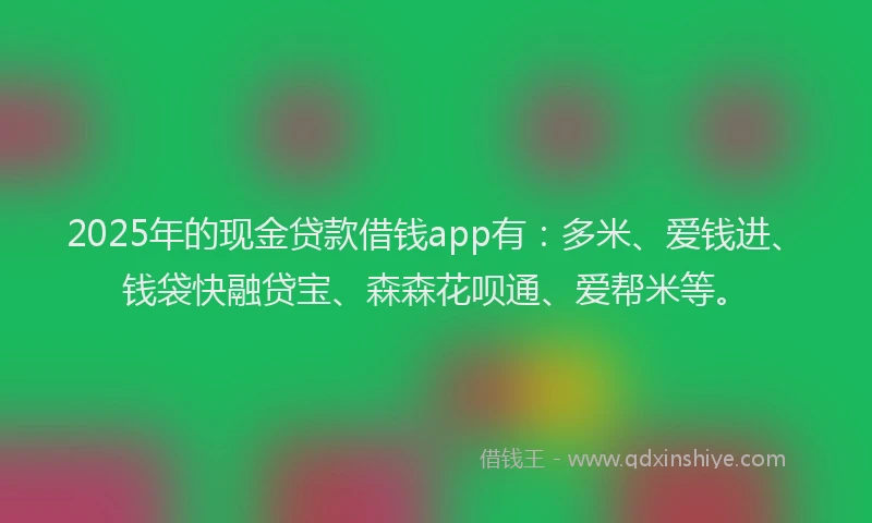 2025年的现金贷款借钱app有：多米、爱钱进、钱袋快融贷宝、森森花呗通、爱帮米等。
