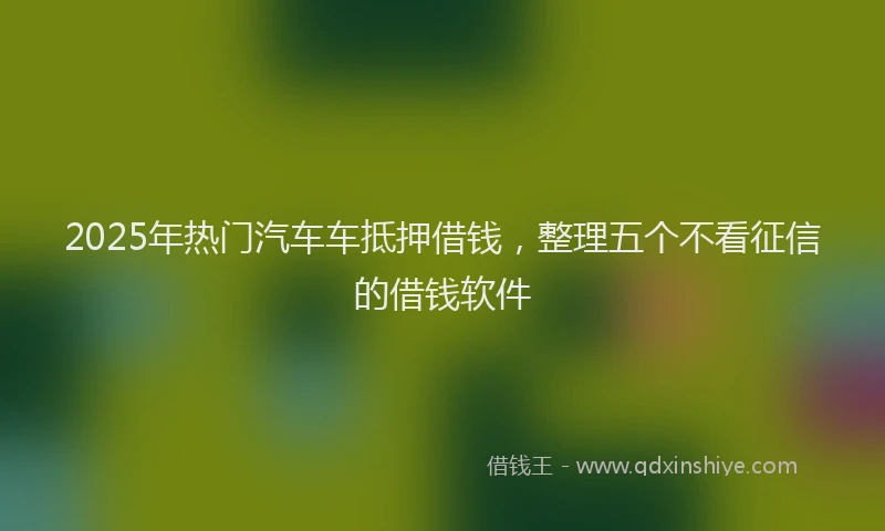 2025年热门汽车车抵押借钱，整理五个不看征信的借钱软件