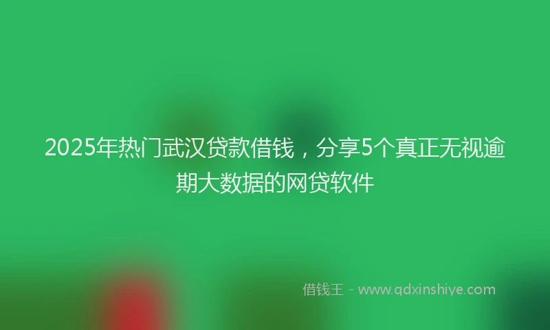 2025年热门武汉贷款借钱，分享5个真正无视逾期大数据的网贷软件