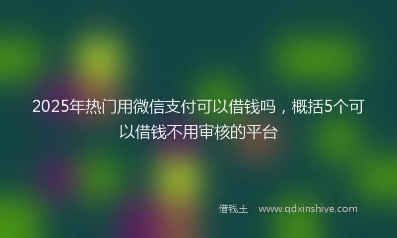 2025年热门用微信支付可以借钱吗，概括5个可以借钱不用审核的平台