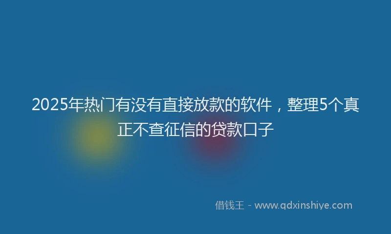 2025年热门有没有直接放款的软件，整理5个真正不查征信的贷款口子