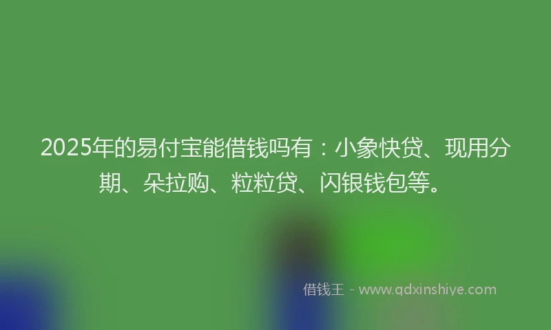 2025年的易付宝能借钱吗有：小象快贷、现用分期、朵拉购、粒粒贷、闪银钱包等。