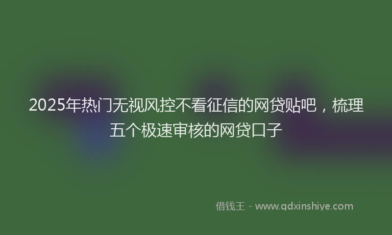 2025年热门无视风控不看征信的网贷贴吧，梳理五个极速审核的网贷口子