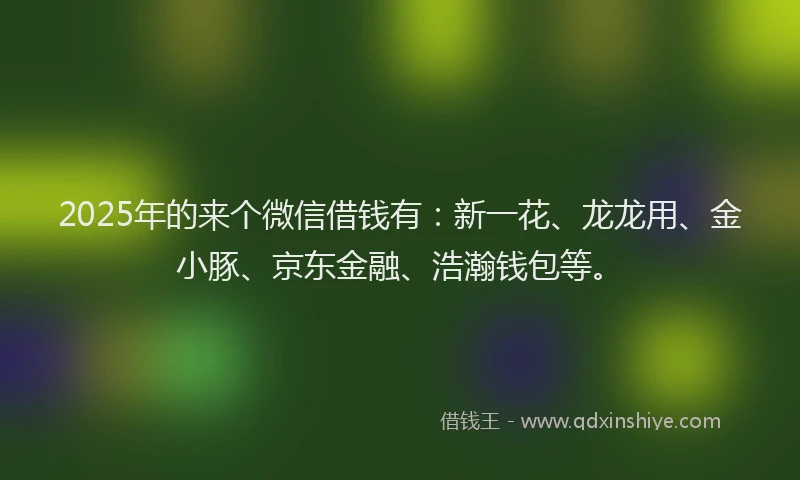2025年的来个微信借钱有：新一花、龙龙用、金小豚、京东金融、浩瀚钱包等。