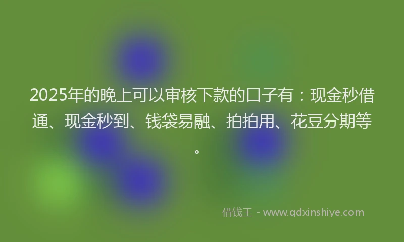 2025年的晚上可以审核下款的口子有：现金秒借通、现金秒到、钱袋易融、拍拍用、花豆分期等。