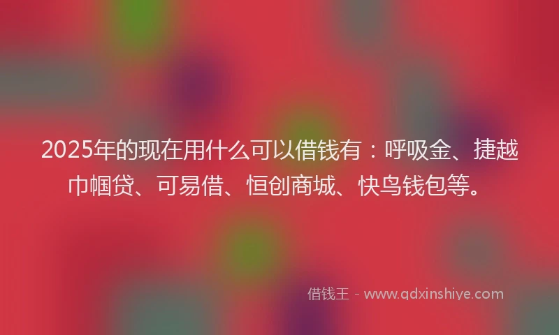 2025年的现在用什么可以借钱有：呼吸金、捷越巾帼贷、可易借、恒创商城、快鸟钱包等。