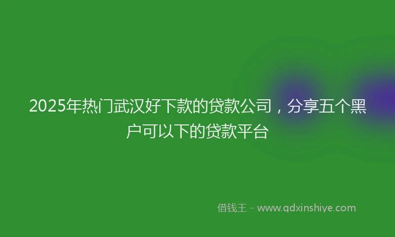2025年热门武汉好下款的贷款公司，分享五个黑户可以下的贷款平台