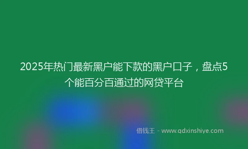 2025年热门最新黑户能下款的黑户口子，盘点5个能百分百通过的网贷平台